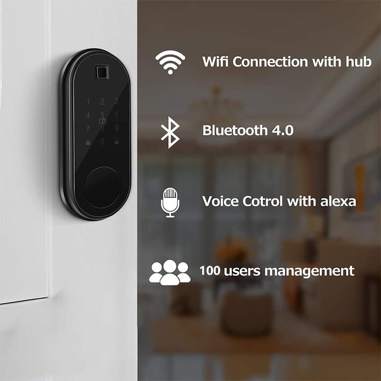 Fingerprint Door Lock - Panda U1 Smart Door Lock - SmartHomeHolics.com