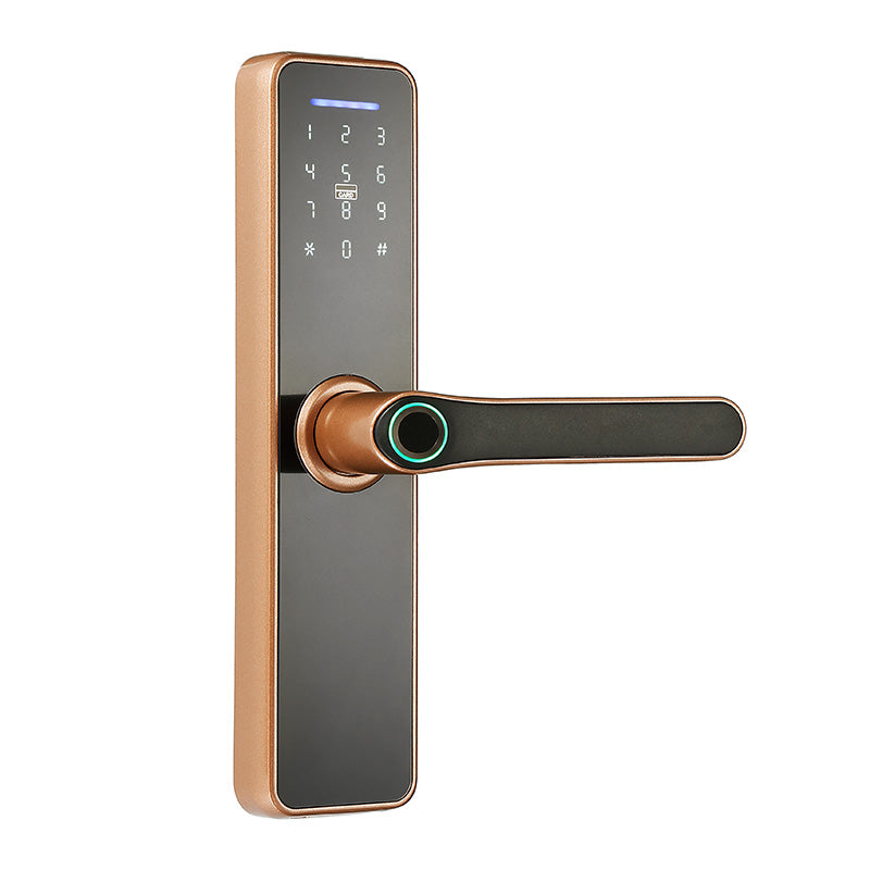 Wi-Fi Smart Lock - Bamboo A9 Smart Lock - SmartHomeHolics.com