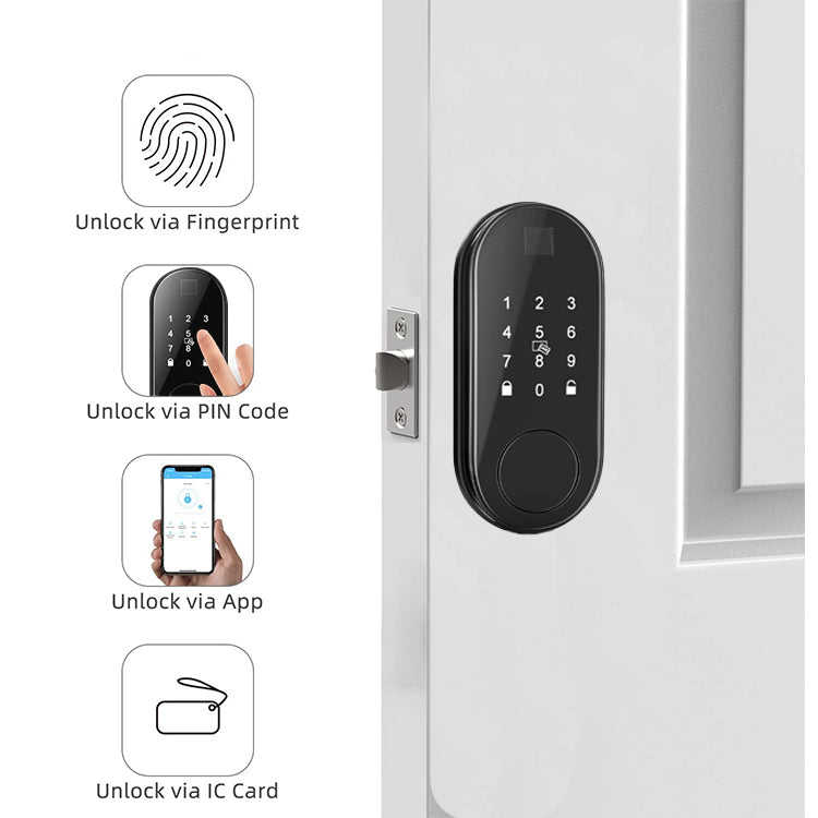 Fingerprint Door Lock - Panda U1 Smart Door Lock - SmartHomeHolics.com