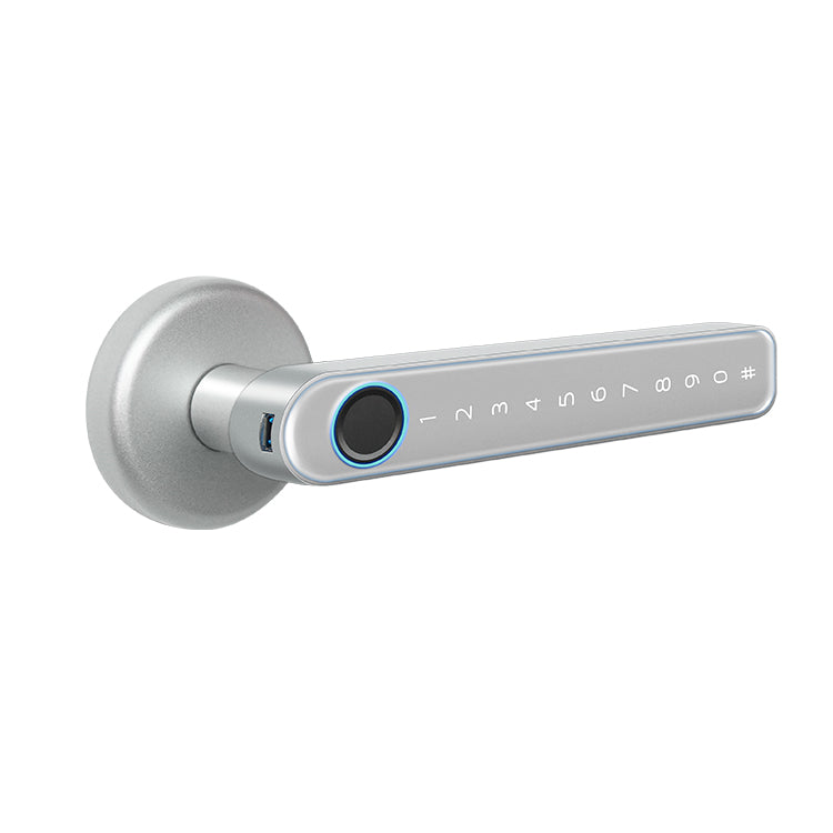 Electronic Door Knob - Bamboo H5S Smart Door Lock - SmartHomeHolics.com